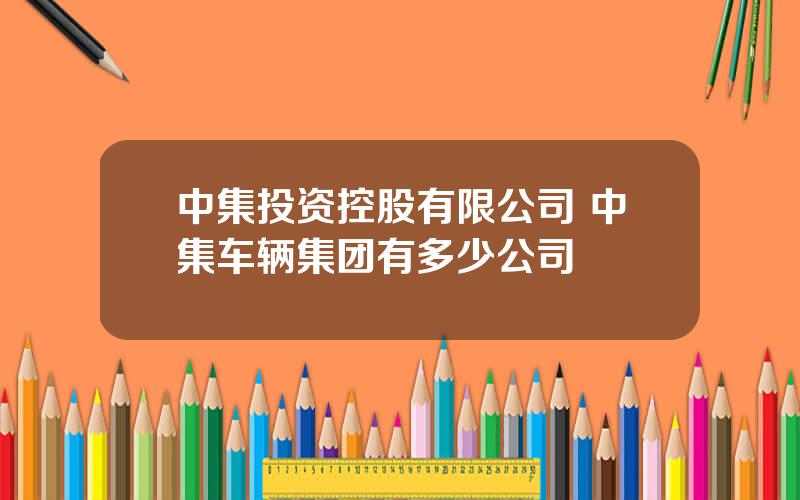 中集投资控股有限公司 中集车辆集团有多少公司